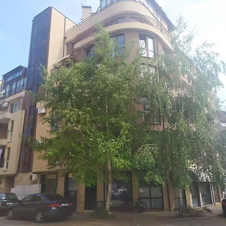 студио 13 парус